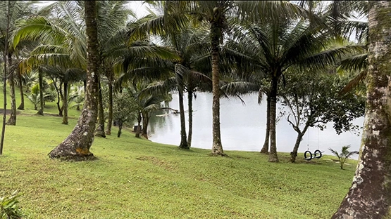 Scenic views as you stroll