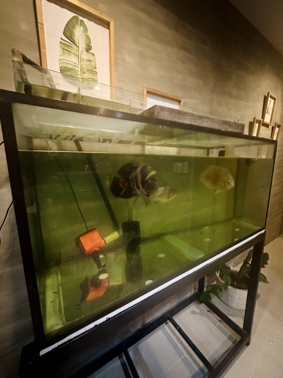 Emiliana's Grill and Restaurant - Aquarium