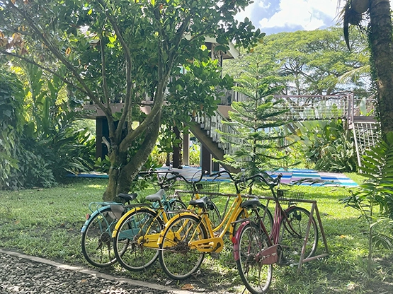 Lotuspod Bed and Breakfast - Bikes