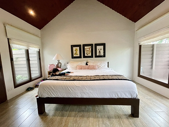 Lotuspod Bed and Breakfast - King sized bed