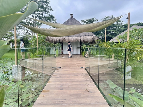 Lotuspod Bed and Breakfast - Stroll around and appreciate mother nature again