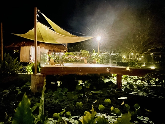 Lotuspod Bed and Breakfast - Outside night time