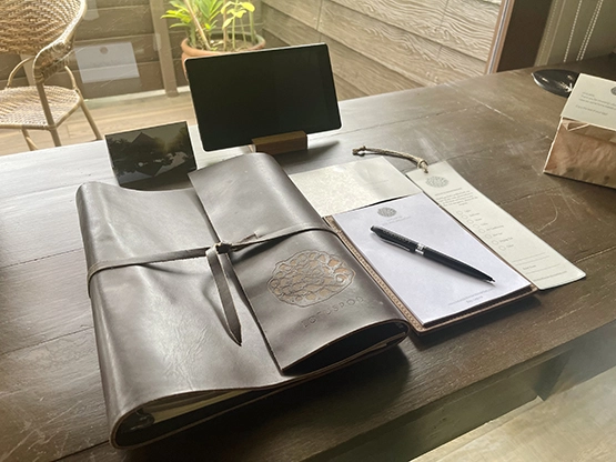Lotuspod Bed and Breakfast - Work area