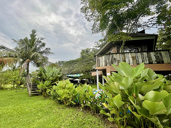 Lotuspod Bed and Breakfast - Lotuspod Bed and Breakfast - Playground and tree house