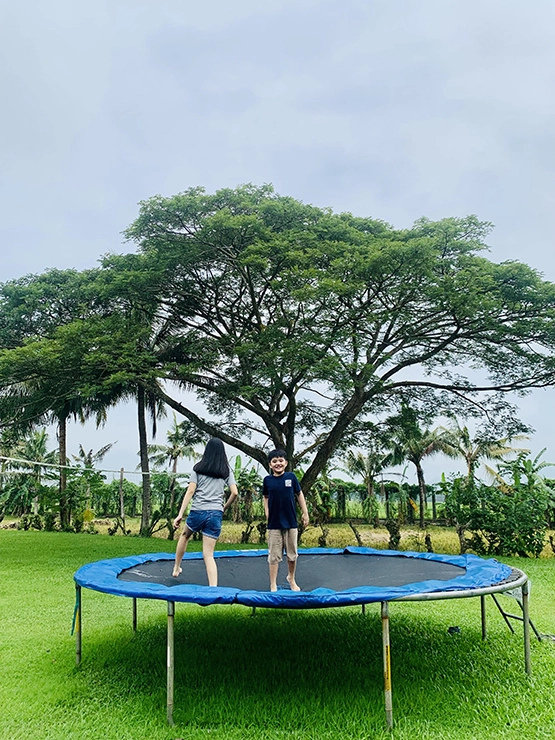 Lotuspod Bed and Breakfast - Trampoline