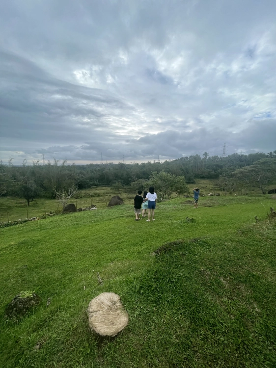 Spacio Caliraya - surroundings