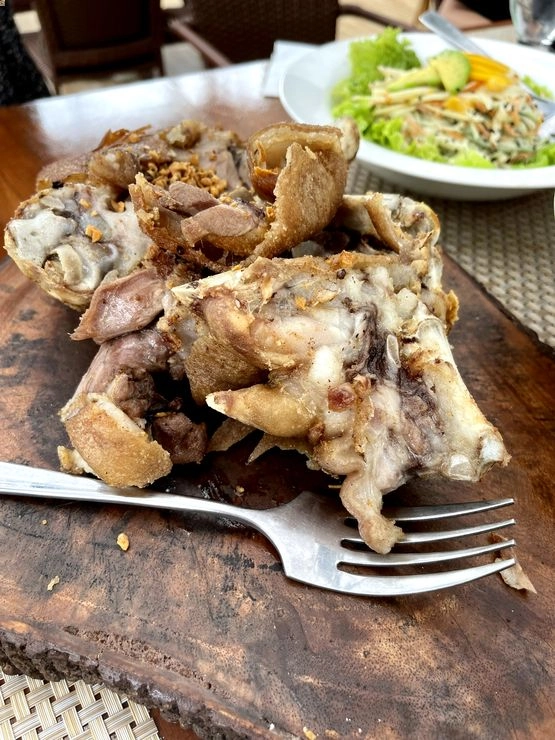 The Aviary Asian Fusion Cafe Victoria Laguna - Crispy pata kare-kare - crispy pata