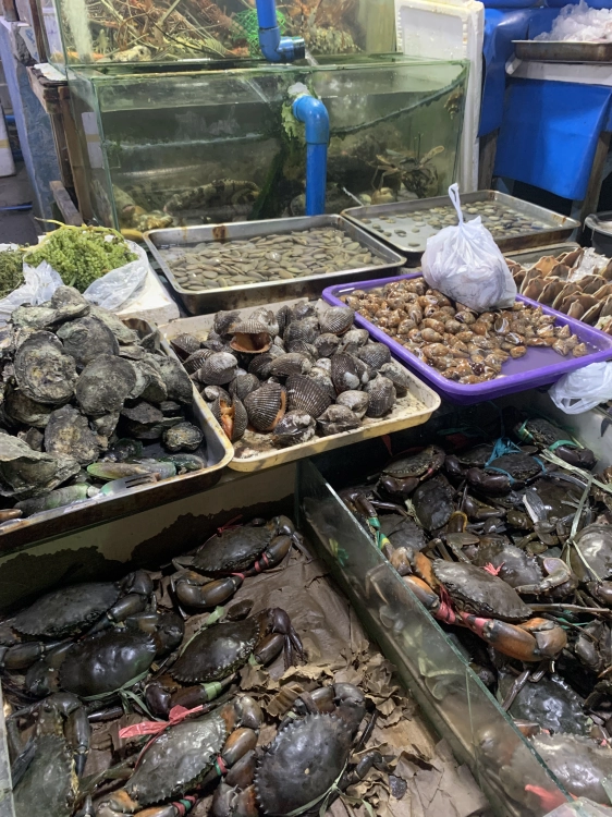 Macapagal Seaside wet market crabs and scallops