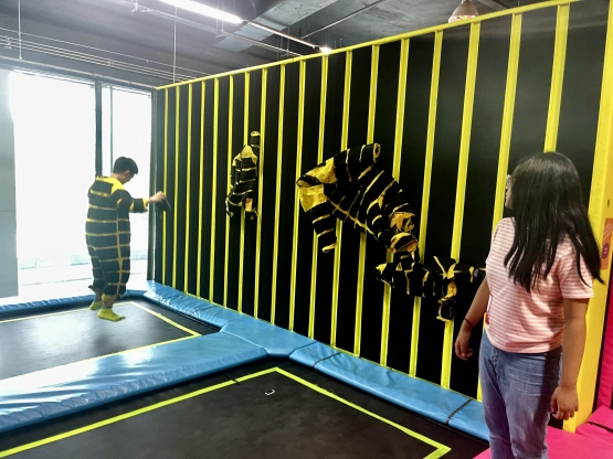 Wii Jump Trampoline Park - Sticky Wall