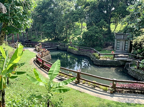 Fish pond